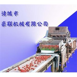 供應胡蘿卜清洗機、白蘿卜清洗機
