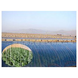 市場上品牌好的灌漿膜在哪里可以找到，灌漿膜圖片