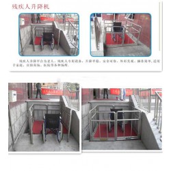 殘疾人升降機廠家，專業的殘疾人升降機【供應】