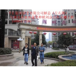 濰坊哪里有提供蔬菜大棚建造，蔬菜大棚