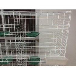 鴿籠雞籠兔籠/寵物籠/養殖設備/養殖籠/晉江飼養設備籠子找華飛金屬制品有限公司！