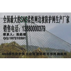 遂寧被動網，新款被動防護網成都有售