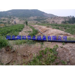 絳縣果樹滴灌PE管方式-小管出流-穩流器節水增產