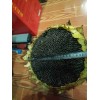 緊急求購葵花籽包裝袋?。?/></a>
<ul><li><a href=