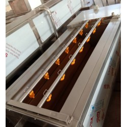 黃桃清洗機，黃桃罐頭加工全套設備