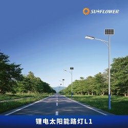 節能型鋰電智能6-8米30W太陽能LED路燈L1廠家直銷
