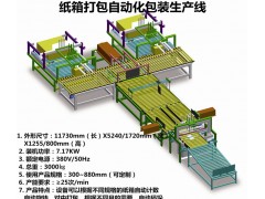 紙箱自動化包裝流水線設備包裝生產線定制