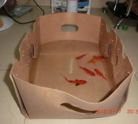 圳鴻防潮展示盒、防水魚蝦盒
