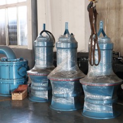 德能水泵 全國泵業十大排名推廣產品 600QZB潛水軸流泵