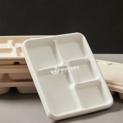 沃森 五格學生打飯環保餐盒可降解一次性餐盒甘蔗漿餐具